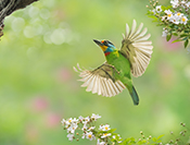 sue hsu's photo